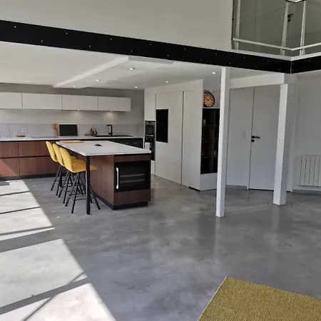 Loft Lumineux, Piece De Vie 100m2, Parking Prive